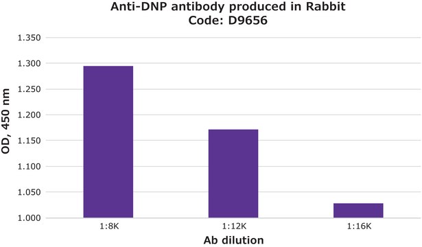 抗DNP 兔抗 whole antiserum