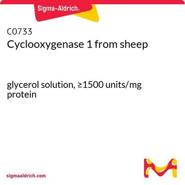 环氧化酶 1 来源于绵羊 glycerol solution, &#8805;1500&#160;units/mg protein