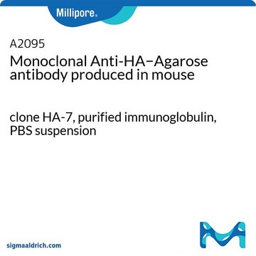 Monoclonal Anti-HA&#8722;Agarose antibody produced in mouse clone HA-7, purified immunoglobulin, PBS suspension