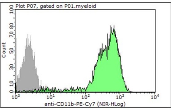 Anti-CD11b Antibody (human/mouse), PE-Cy7, clone M1/70 clone M1/70, 0.2&#160;mg/mL, from rat