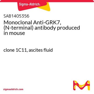 Monoclonal Anti-GRK7, (N-terminal) antibody produced in mouse clone 1C11, ascites fluid