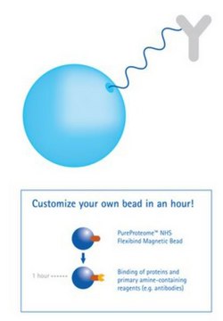 PureProteome NHS FlexiBind Magnetic Beads Kit NHS FlexiBind beads are suitable for Immunoprecipitations, purifying nucleic acids, isolating cells and organelles, performing protein-protein interaction studies and many other applications.