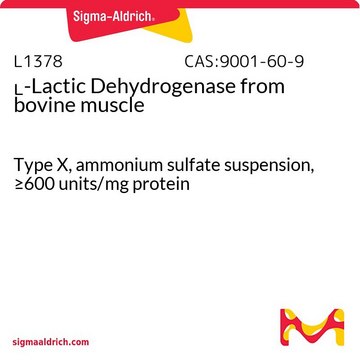 L-Lactic Dehydrogenase 来源于牛肌肉 Type X, ammonium sulfate suspension, &#8805;600&#160;units/mg protein