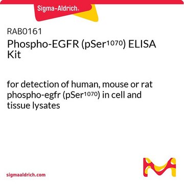 磷酸化EGFR（pSer 1070）ELISA试剂盒 for detection of human, mouse or rat phospho-egfr (pSer1070) in cell and tissue lysates