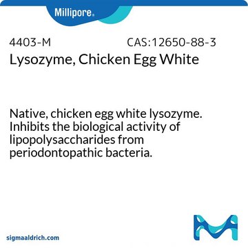 溶菌酶，来源于鸡蛋白 Native, chicken egg white lysozyme. Inhibits the biological activity of lipopolysaccharides from periodontopathic bacteria.