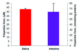 Total Polyamine Assay Kit (Fluorometric) sufficient for 100 fluorometric&nbsp;tests