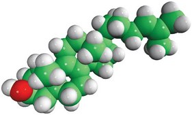 zymosterol Avanti Research™ - A Croda Brand