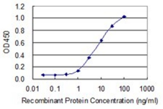 Monoclonal Anti-CD8B1 antibody produced in mouse clone 4C8, purified immunoglobulin, buffered aqueous solution