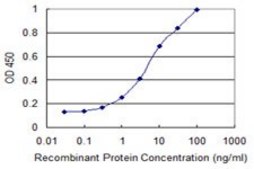 Monoclonal Anti-DMRTB1 antibody produced in mouse clone 5E7, purified immunoglobulin, buffered aqueous solution