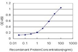 Monoclonal Anti-RAX antibody produced in mouse clone 3B3, purified immunoglobulin, buffered aqueous solution