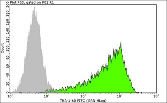 Anti-TRA-1-60 Antibody, clone TRA-1-60, FITC conjugate clone TRA-1-60, from mouse, FITC conjugate