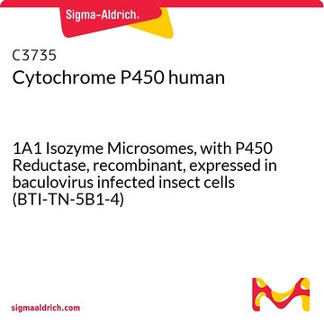 细胞色素P450 人 1A1 Isozyme Microsomes, with P450 Reductase, recombinant, expressed in baculovirus infected insect cells (BTI-TN-5B1-4)