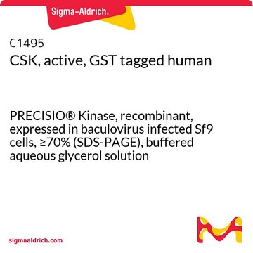 CSK, active, GST tagged human PRECISIO&#174; Kinase, recombinant, expressed in baculovirus infected Sf9 cells, &#8805;70% (SDS-PAGE), buffered aqueous glycerol solution