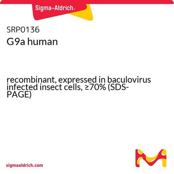 G9a human recombinant, expressed in baculovirus infected insect cells, &#8805;70% (SDS-PAGE)