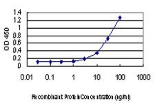 ANTI-PIM1 antibody produced in mouse clone 6G6, purified immunoglobulin, buffered aqueous solution