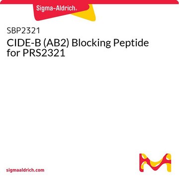 CIDE-B (AB2) Blocking Peptide for PRS2321