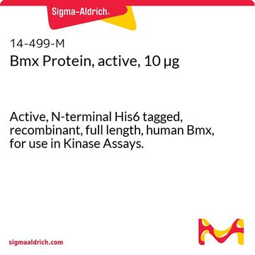 Bmx Protein, active, 10 &#181;g Active, N-terminal His6 tagged, recombinant, full length, human Bmx, for use in Kinase Assays.