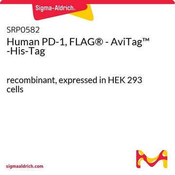 Human PD-1, FLAG&#174; - AviTag&#8482; -His-Tag recombinant, expressed in HEK 293 cells