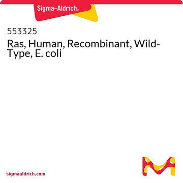 Ras, Human, Recombinant, Wild-Type, E. coli