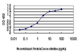 Monoclonal Anti-ACVR1B antibody produced in mouse clone 2D4, purified immunoglobulin, buffered aqueous solution