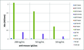 Anti-Mouse IgG2a kappa antibody, Rabbit monoclonal recombinant, expressed in HEK 293 cells, clone RM107, purified immunoglobulin
