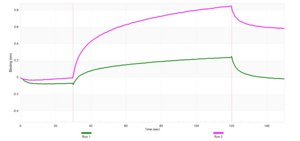 Anti-Arylsulfatase A Antibody, clone 2C19 ZooMAb® Rabbit Monoclonal recombinant, expressed in HEK 293 cells