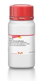 Bovine Serum Albumin lyophilized powder, essentially globulin free, low endotoxin, ≥98% (agarose gel electrophoresis)
