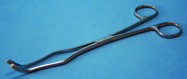 Stainless steel crucible tongs with platinum tips L 8&#160;in.