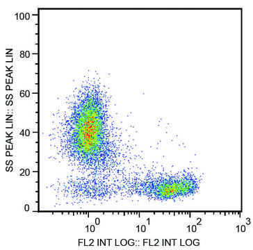 Monoclonal Anti-CD2 antibody produced in mouse clone LT2, purified immunoglobulin, buffered aqueous solution