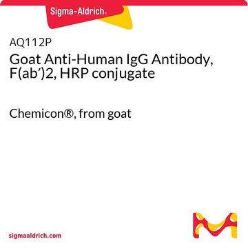 Goat Anti-Human IgG Antibody, F(ab&#8242;)2, HRP conjugate Chemicon&#174;, from goat