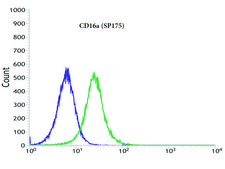 Anti-CD16A antibody, Rabbit monoclonal recombinant, expressed in proprietary host, clone SP175, affinity isolated antibody