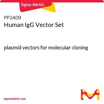 人IgG载体 plasmid vectors for molecular cloning