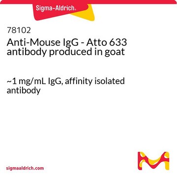 抗-小鼠 IgG - Atto 633 山羊抗 ~1&#160;mg/mL IgG, affinity isolated antibody