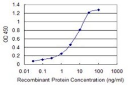 Monoclonal Anti-SPN antibody produced in mouse clone 3G8, purified immunoglobulin, buffered aqueous solution