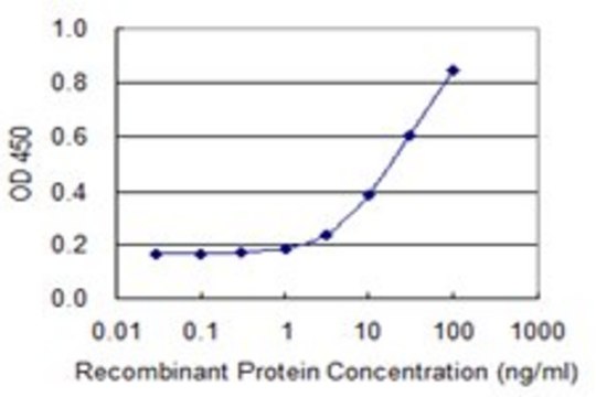 Monoclonal Anti-SNRPB2 antibody produced in mouse clone 2F4, purified immunoglobulin, buffered aqueous solution