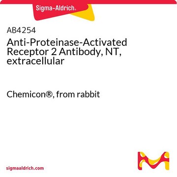 Anti-Proteinase-Activated Receptor 2 Antibody, NT, extracellular Chemicon&#174;, from rabbit