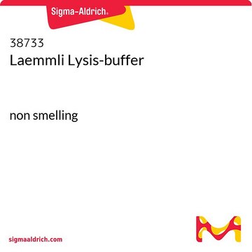 Laemmli Lysis-buffer non smelling