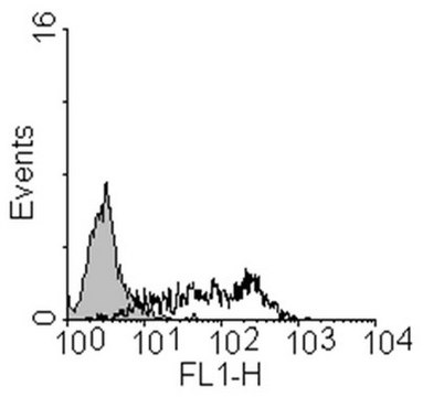 Anti-Epithelial Cell Adhesion Molecule (EpCAM) Antibody, clone 8 clone mab 8, from mouse