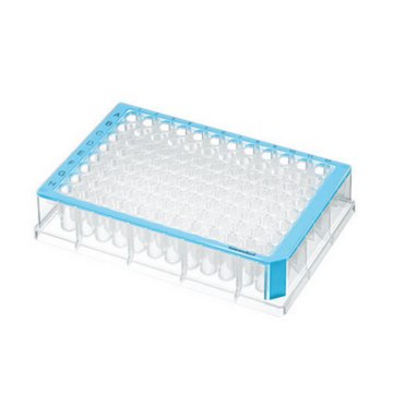 Eppendorf&#174; Deepwell plates, standard, 96 wells blue plate, conical bottom colorless wells, capacity 500&#160;&#956;L, pkg of 40&#160;ea