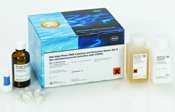 DIG-High Prime DNA Labeling and Detection Starter Kit II sufficient for 12&#160;labeling reactions (10 ng to 3 &#956;g per assay), sufficient for 24&#160;blots (blots of 100 cm2)