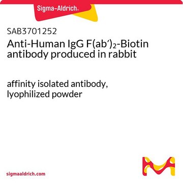 Anti-Human IgG F(ab&#8242;)2-Biotin antibody produced in rabbit affinity isolated antibody, lyophilized powder