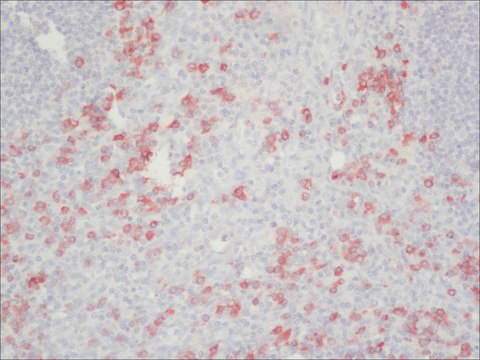 Anti-Human IgG (Fc specific)&#8722;Peroxidase antibody produced in goat affinity isolated antibody