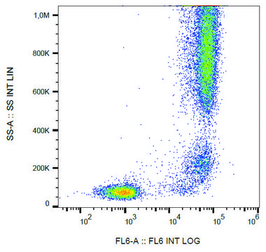 Monoclonal Anti-CD13/Aminopeptidase N antibody produced in mouse clone WM15