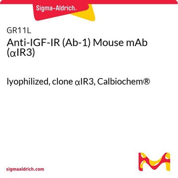 Anti-IGF-IR (Ab-1) Mouse mAb (&#945;IR3) lyophilized, clone &#945;IR3, Calbiochem&#174;