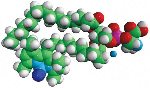 TopFluor&#174; PS Avanti Polar Lipids 810283P, powder