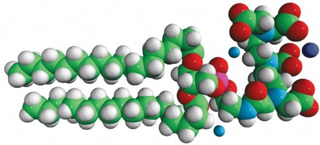 18:0 PE-DTPA (Gd) 1,2-distearoyl-sn-glycero-3-phosphoethanolamine-N-diethylenetriaminepentaacetic acid (gadolinium salt), powder