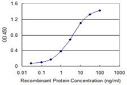 Monoclonal Anti-HOXA9 antibody produced in mouse clone 2A11-2D2, purified immunoglobulin, buffered aqueous solution
