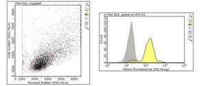 Anti-TNFSF13 (APRIL) Antibody, clone A3D8 clone A3D8, from hamster(Armenian)