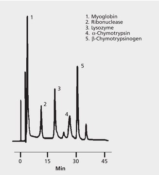 HPLC Analysis of Proteins on TSKgel&#174; Ether-5PW application for HPLC