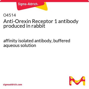 Anti-Orexin Receptor 1 antibody produced in rabbit affinity isolated antibody, buffered aqueous solution